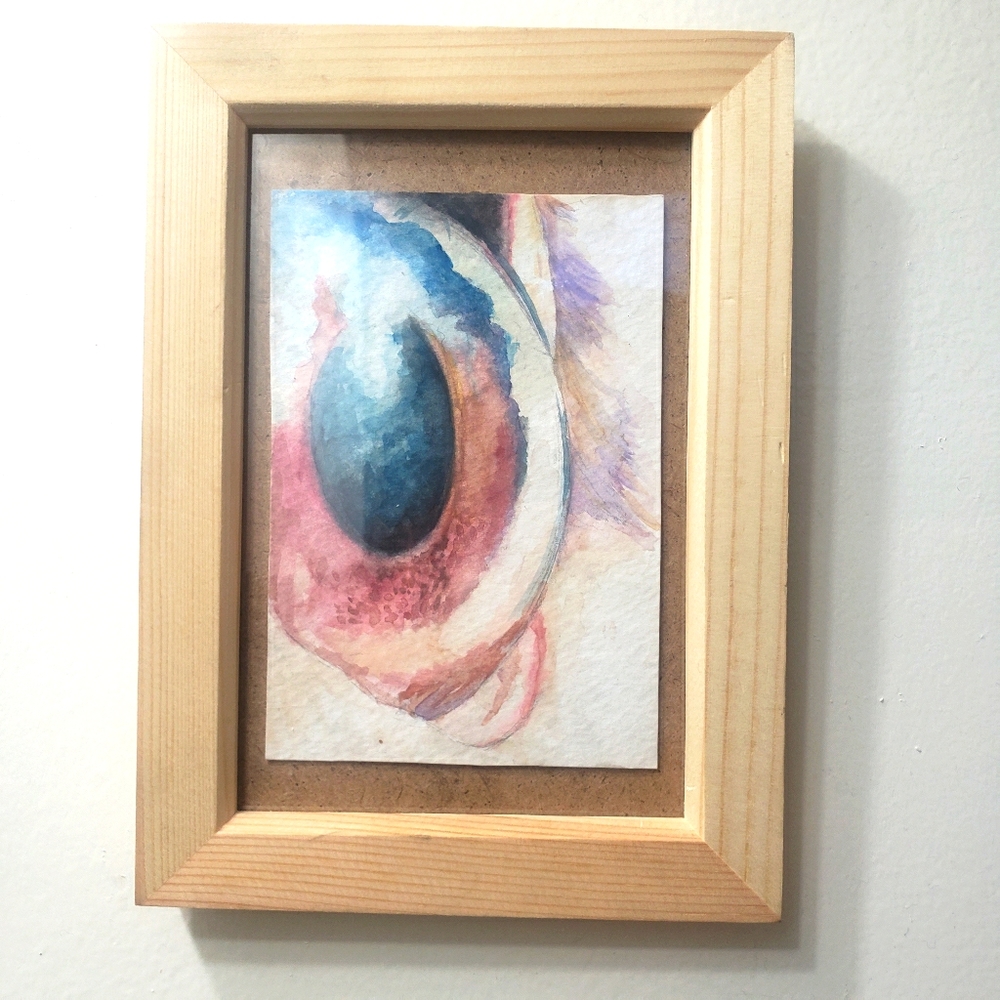 Owl Eye Watercolor Framed original artwork